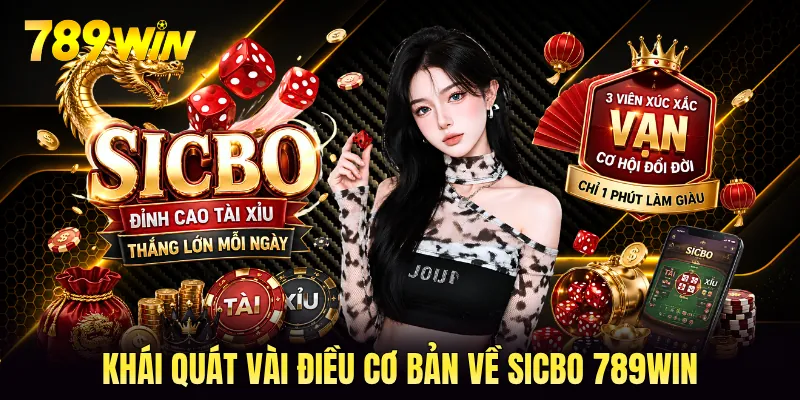 Khái quát vài điều cơ bản về sicbo 789WIN Khái quát vài điều cơ bản về sicbo 789WIN